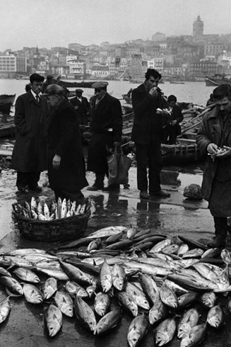 araguler istanbul photos